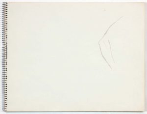 1961 NT (SB #22) Wash on Paper 14 x 11