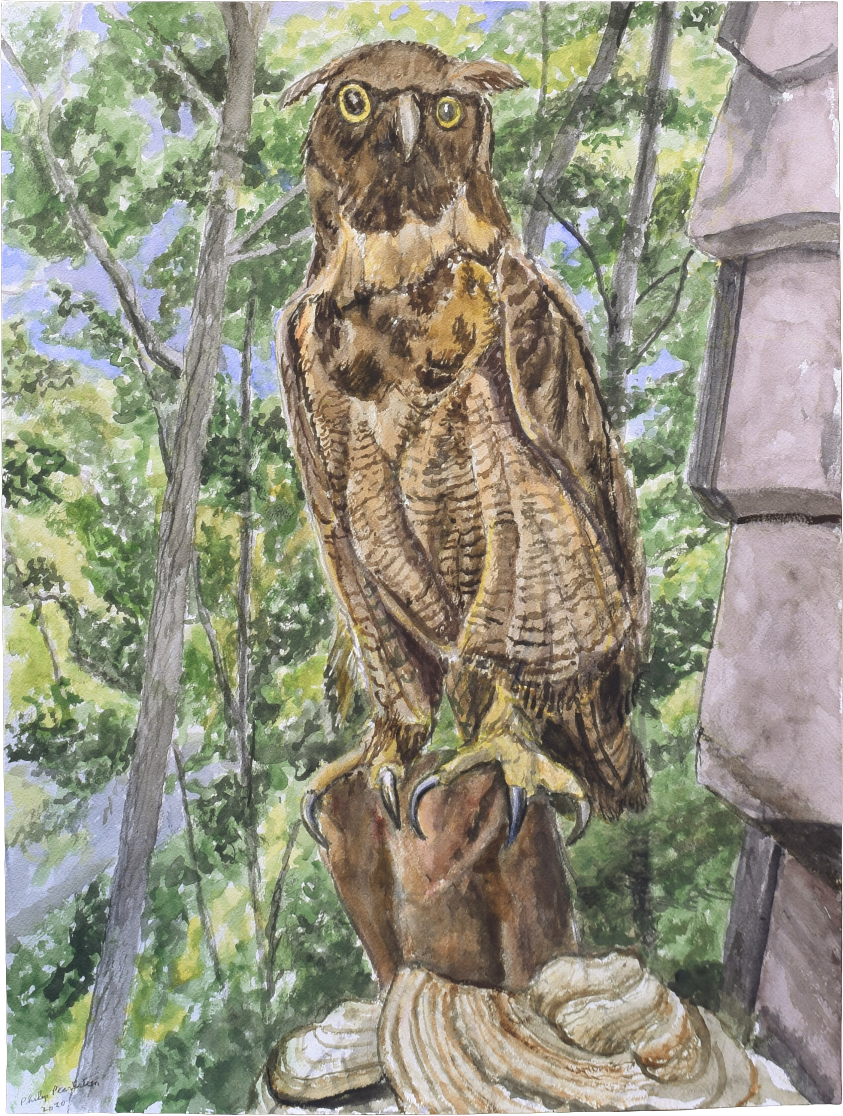 2021 Stuffed Owl on Tree Mushroom Watercolor on Paper 24 x 18 PP16823