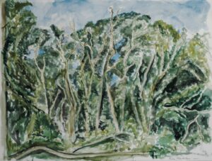 2021 Trees on Cape Cod Watercolor on Paper 18 x 24 PP17045