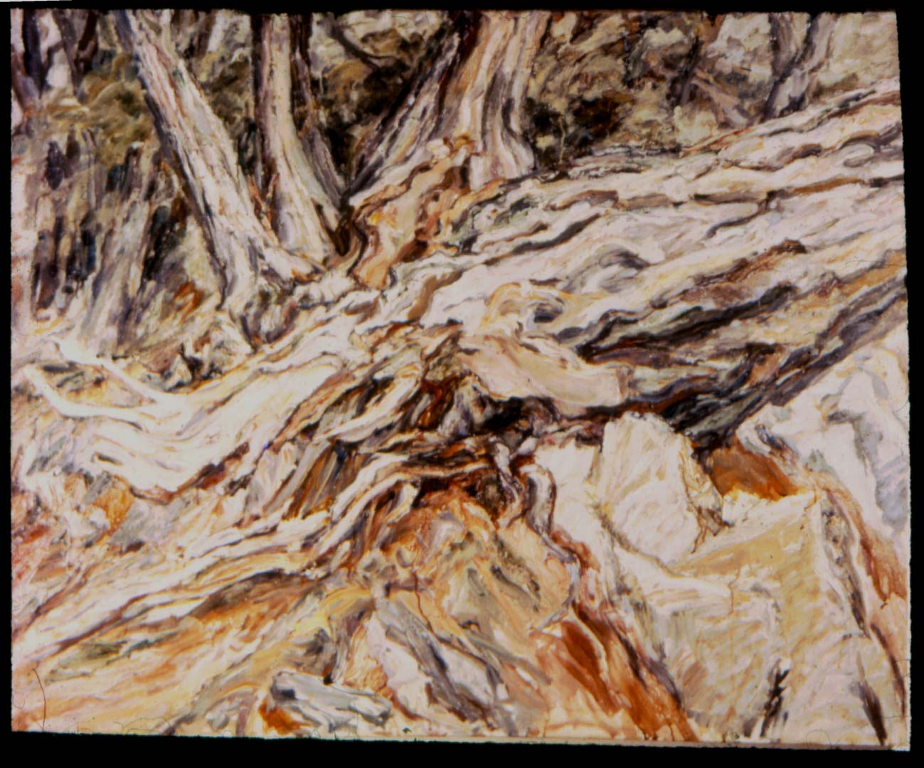 1957 Roots (Fallen Tree) Oil on Canvas 36 x 44
