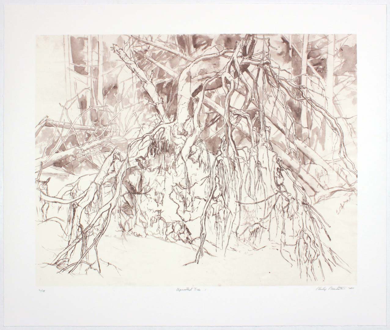 2011 Uprooted Tree #1 Lithograph on Paper 20.625 x 24.625