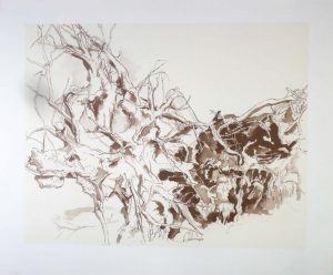 2011 Uprooted Tree #2 Lithograph on Paper 20.5 x 24.5