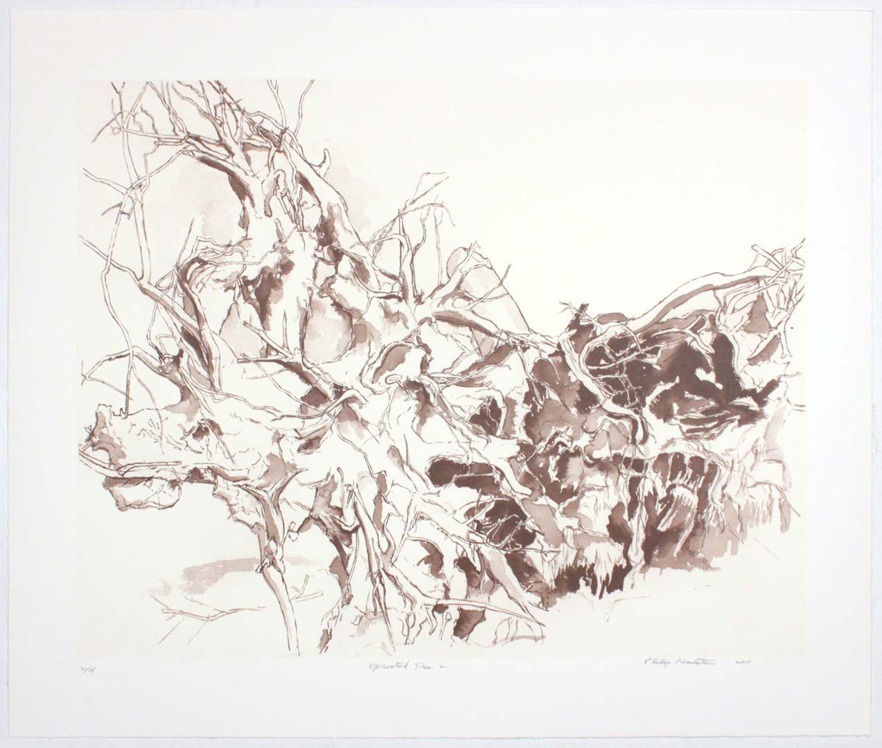2011 Uprooted Tree #2 Lithograph on Paper 20.625 x 24.625